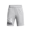 Tech Logo Pantaloncini Ragazzi-grigio, bianco