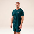 verde scuro_6015