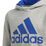 Big Logo Hoody