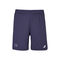 Shorts Lebron