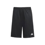 Abbigliamento adidas adidas Training Essentials Pantaloncini Bambini - nero, 