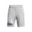 Ua Tech Logo Shorts