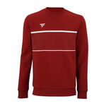 Abbigliamento Tecnifibre Tecnifibre Team Felpa Uomini-Rosso Scuro