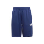 Abbigliamento adidas Training Essentials 3 Stripes Shorts