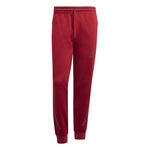 Abbigliamento adidas adidas Z.N.E. Pantalone da allenamento Uomini-rosso