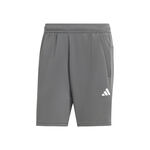 Abbigliamento adidas Train Essentials All Set Training Shorts