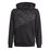 Graphics Logo Hoody Boys