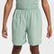 Dri-Fit Shorts
